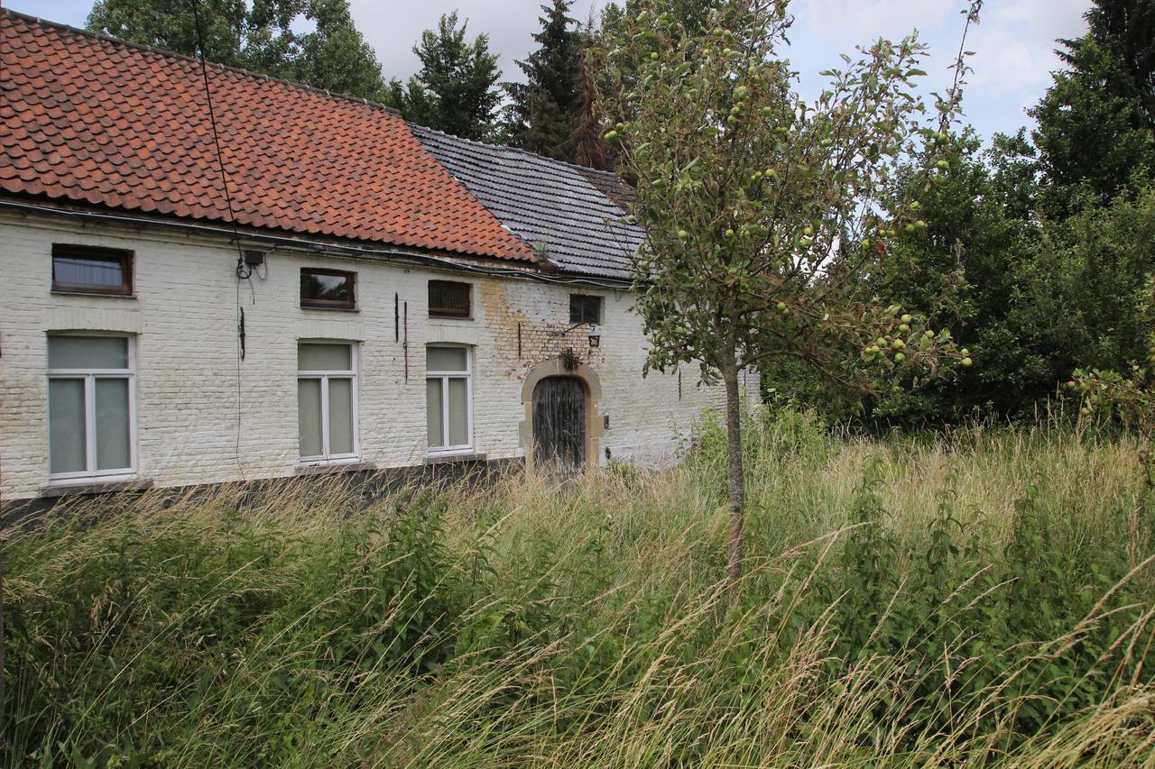 Bed and Breakfast Dotter 17 Erpe-Mere Exterior foto