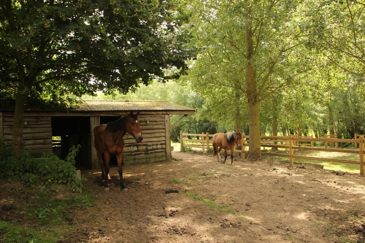 Bed and Breakfast Dotter 17 Erpe-Mere Exterior foto